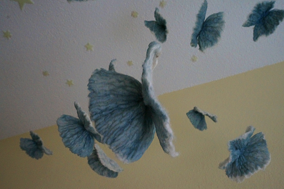 butterflies